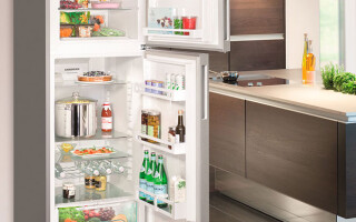 Kuris šaldytuvas geriausiai tinka jūsų namams - Geriausi šaldytuvai pagal kainą