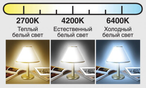 What is the color temperature of LED bulbs?