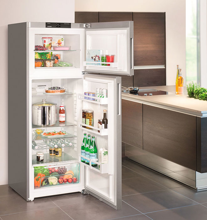 Kuris šaldytuvas jūsų namams - Geriausias šaldytuvas už kainą