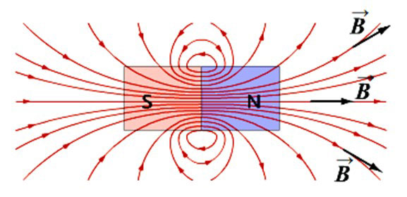 Nuolatinio magneto magnetinės indukcijos vektoriaus kryptis. 